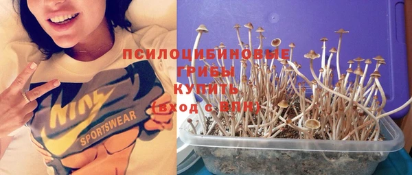 ПСИЛОЦИБИНОВЫЕ ГРИБЫ Балахна