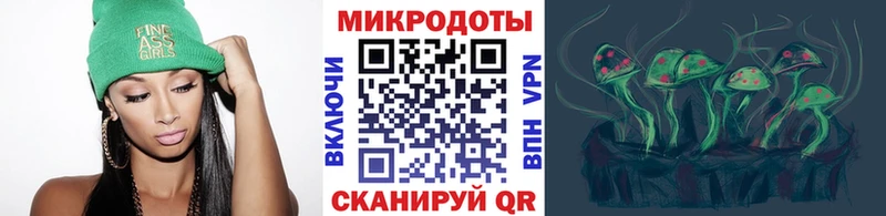 Псилоцибиновые грибы Psilocybe  цены   Горбатов 